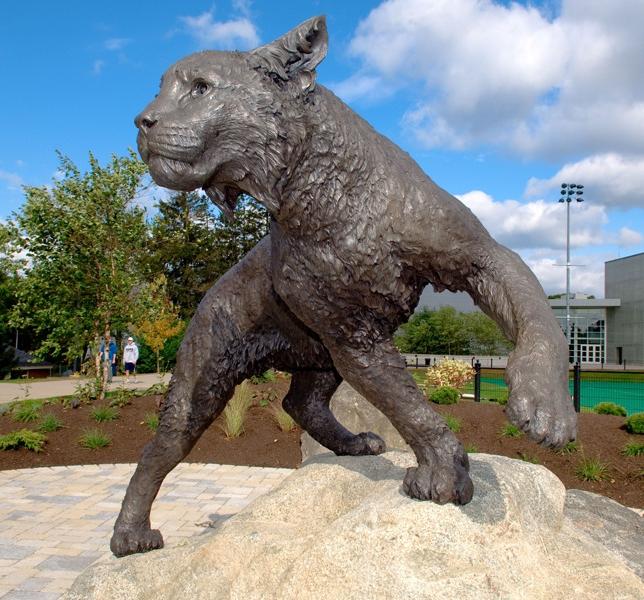 Wildcat Statue