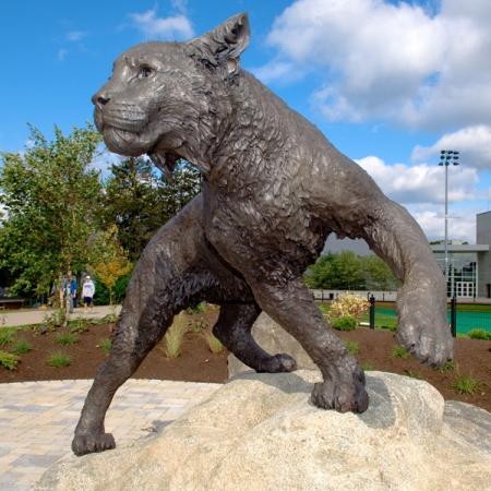 Wildcat Statue